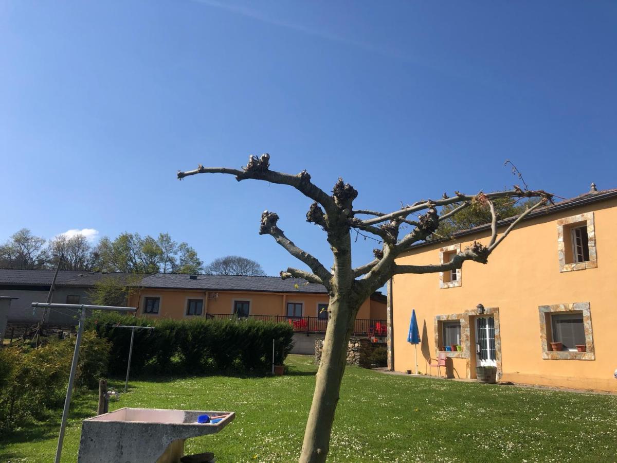 Albergue O Cruceiro Salgueiros Екстер'єр фото